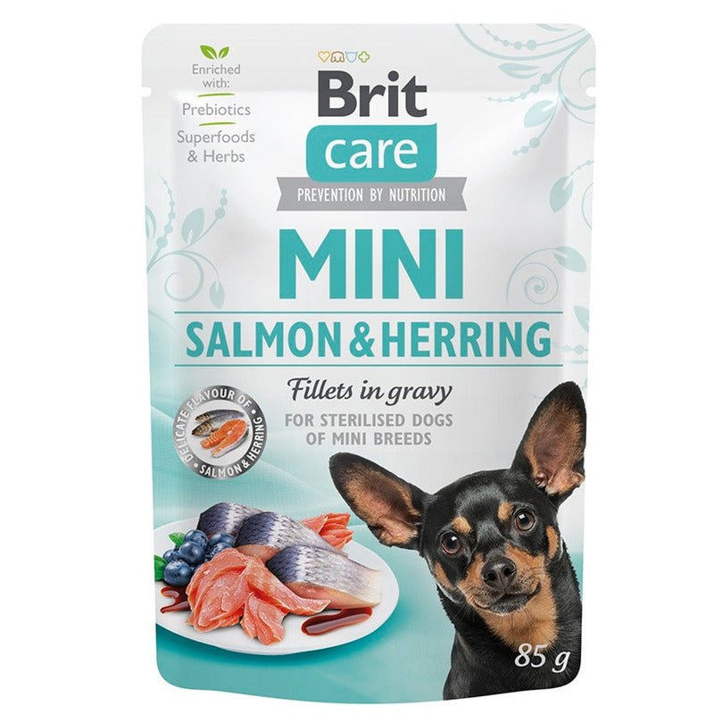 Care perro mini filetes de salmón y arenque en sal Imagen principal del producto