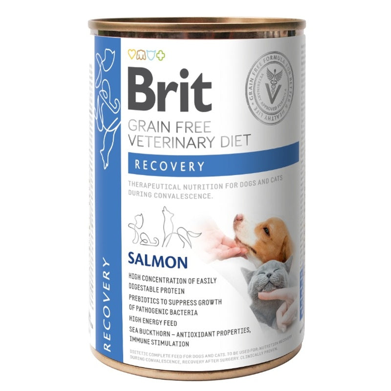 veterinary recovery lata para perros Imagen principal del producto