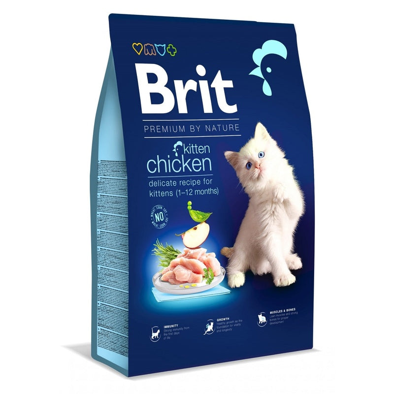 Premium kitten