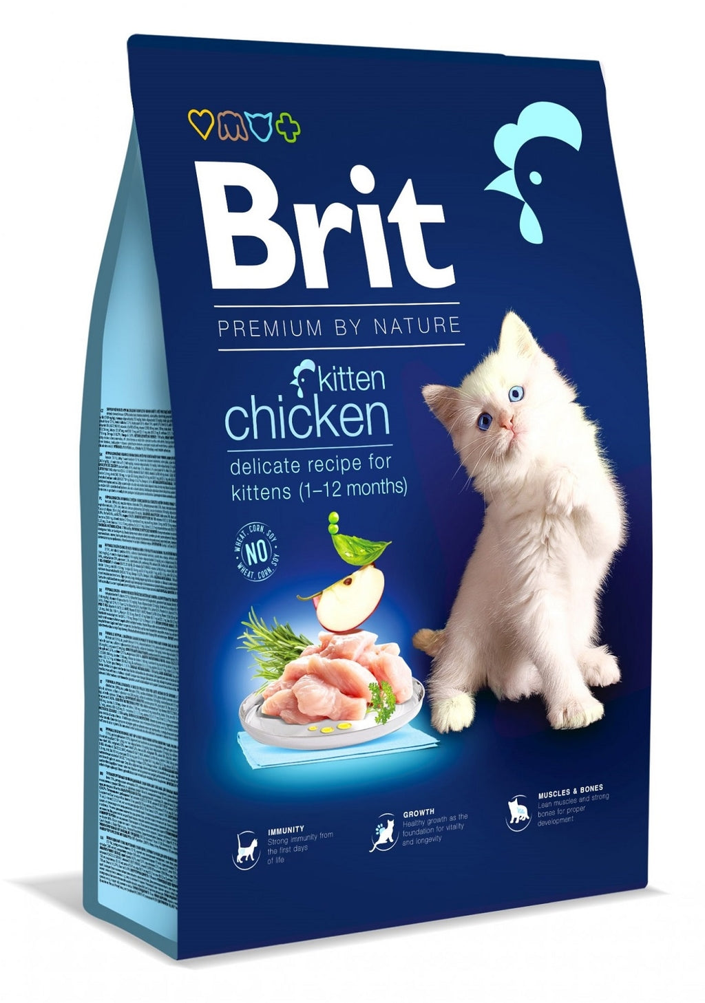Premium kitten