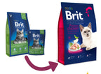 Premium cat sterilised