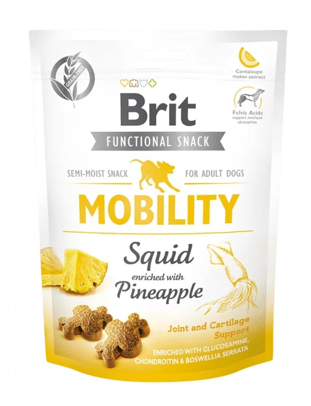 Care dog mobility calamar 150 g