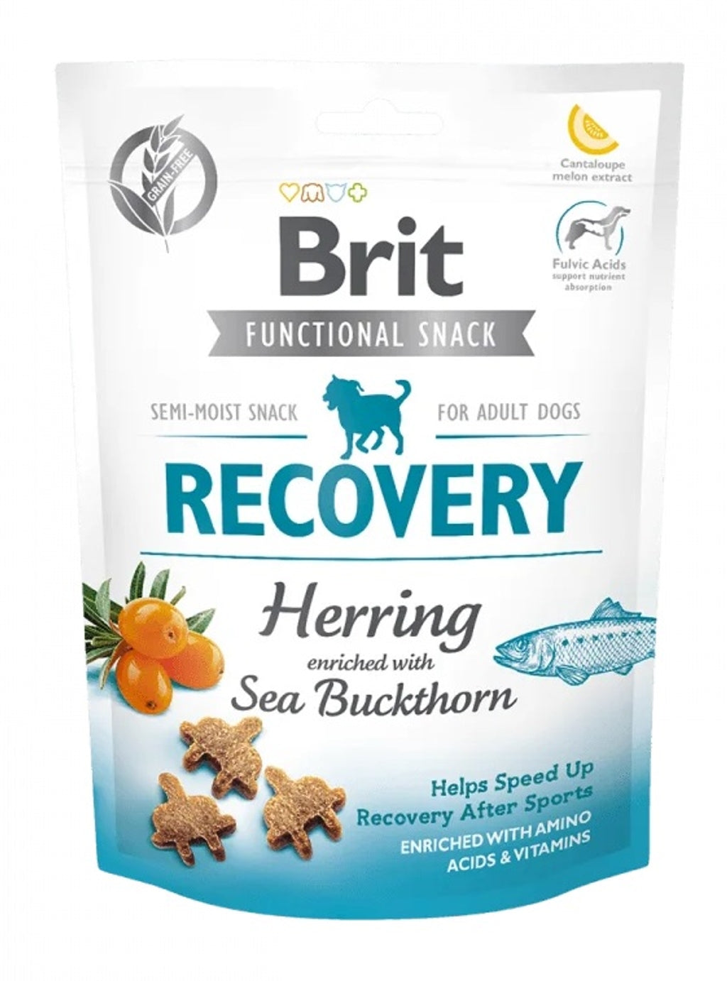 Care dog recovery arenque 150 g