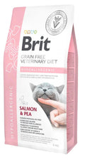 Veterinary Hypoallergenic penso per a gats