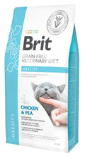 Veterinary Obesity penso per a gats