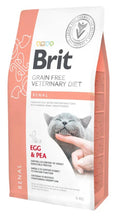 Veterinary Renal pienso para gatos