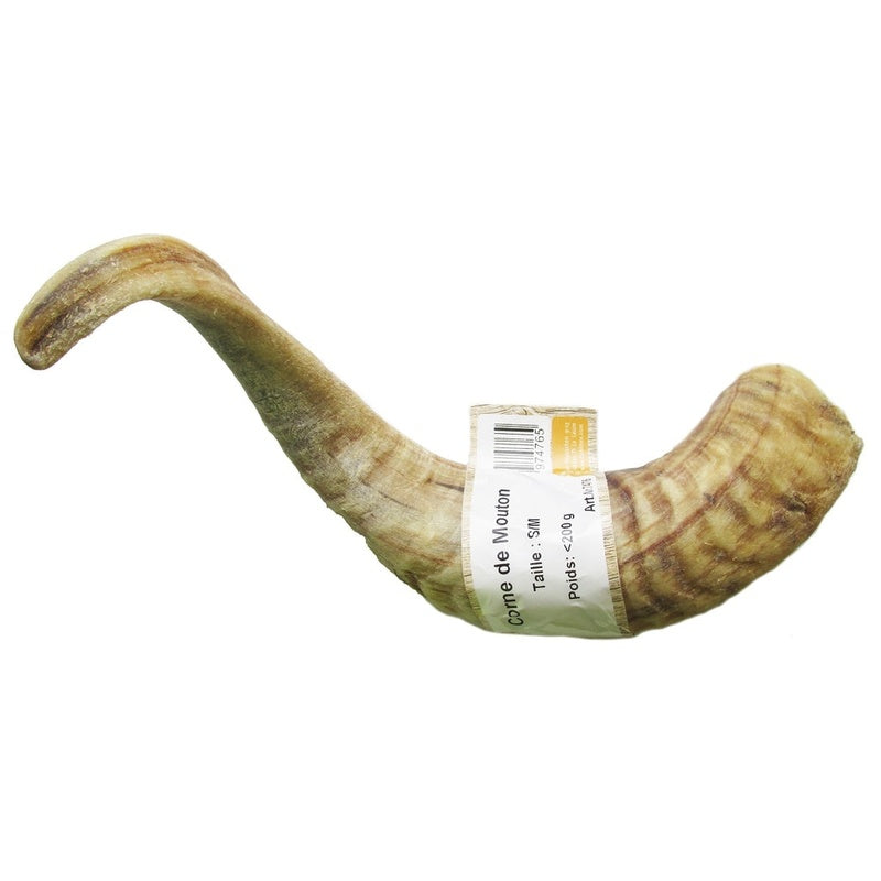 Cuerno d'oveja talla