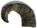 Cuerno de búfalo M 230gr