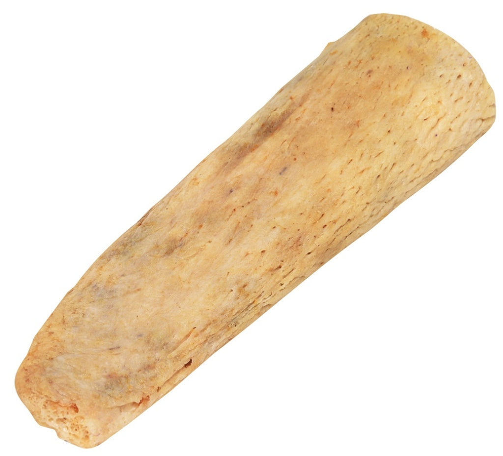 Núcleo del cuerno de búfalo Imatge principal del producte