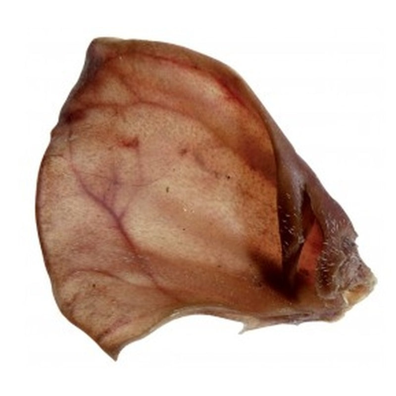 orella de perc Imatge principal del producte