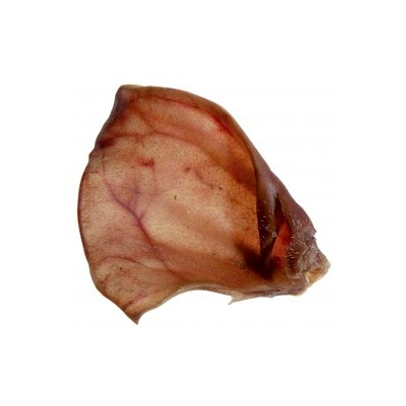 Orelles de perc Imatge principal del producte