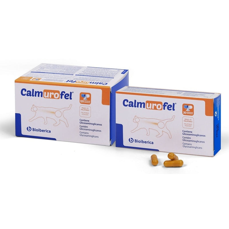 Calmurofel gat Imatge principal del producte