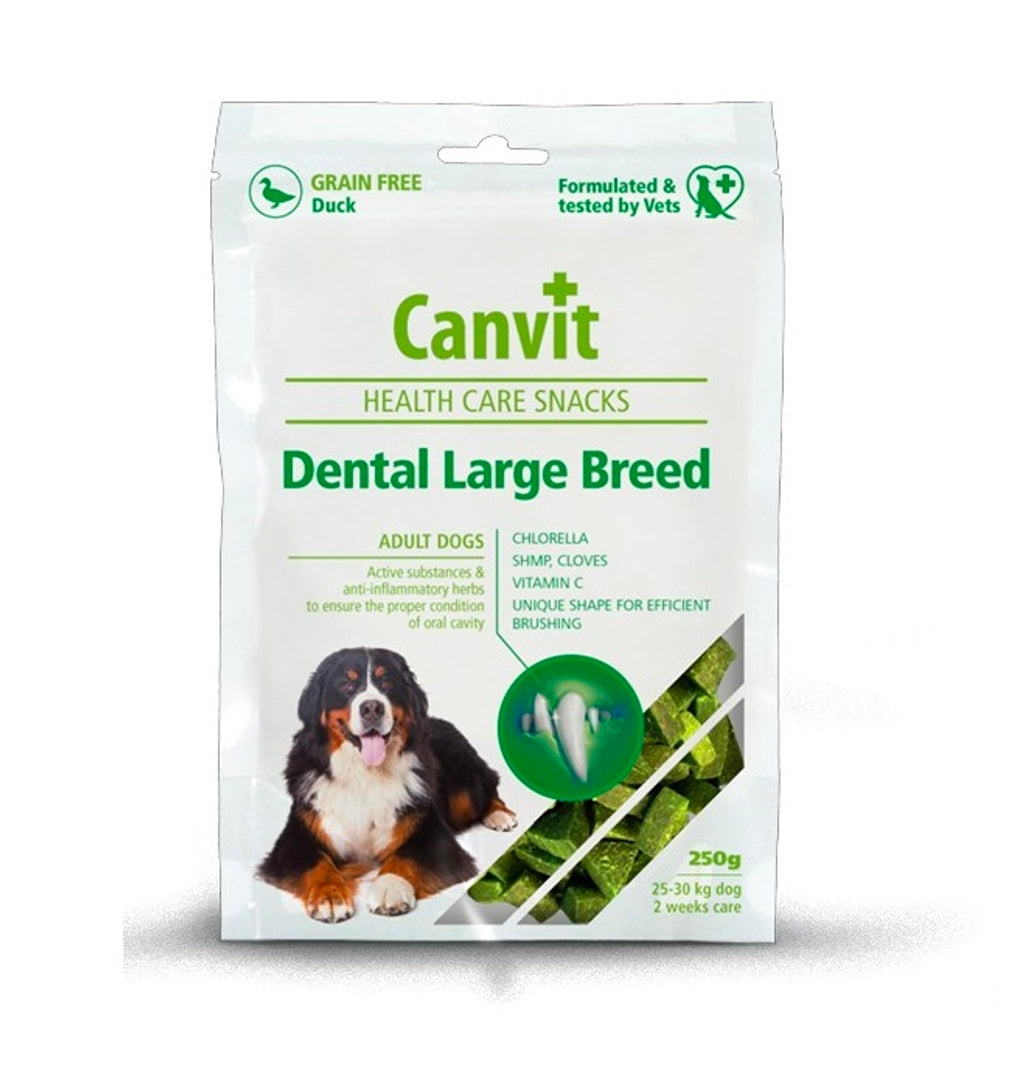 Health Care Dental Large 250 g