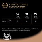 Junior pavo ternera tarrina 150gr