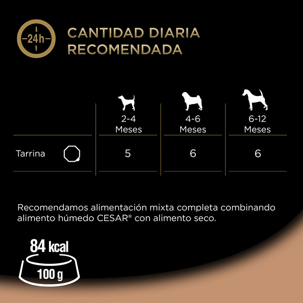 Junior pavo ternera tarrina 150gr