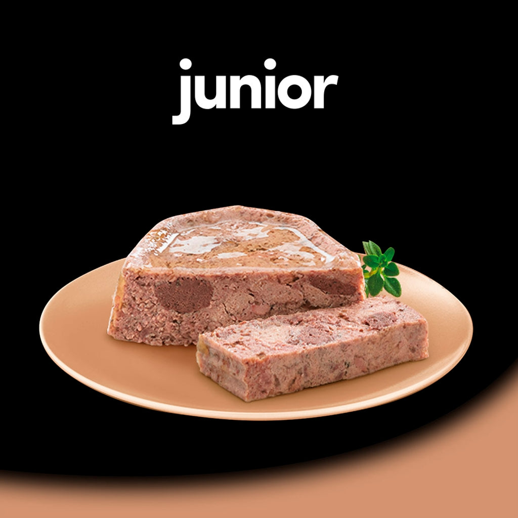 Cesar Junior Pavo Ternera Tarrina 150gr Imagen secundaria del producto
