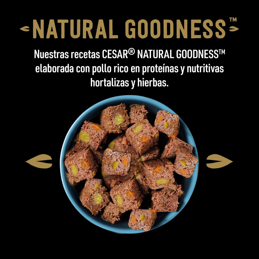 Cesar Gf Natual Rico en Cordero 400 g lata Imagen secundaria del producto