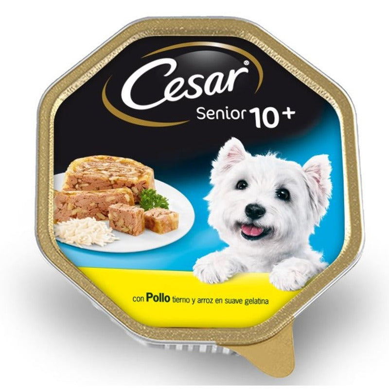 senior en gelatina tarrina 150gr Imatge principal del producte