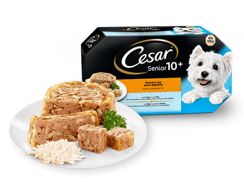 senior tarrinas 4x150gr Imagen principal del producto