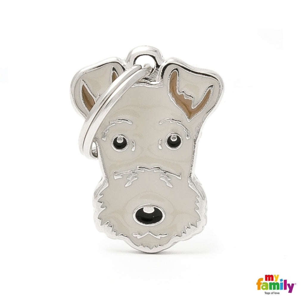 lakeland terrier