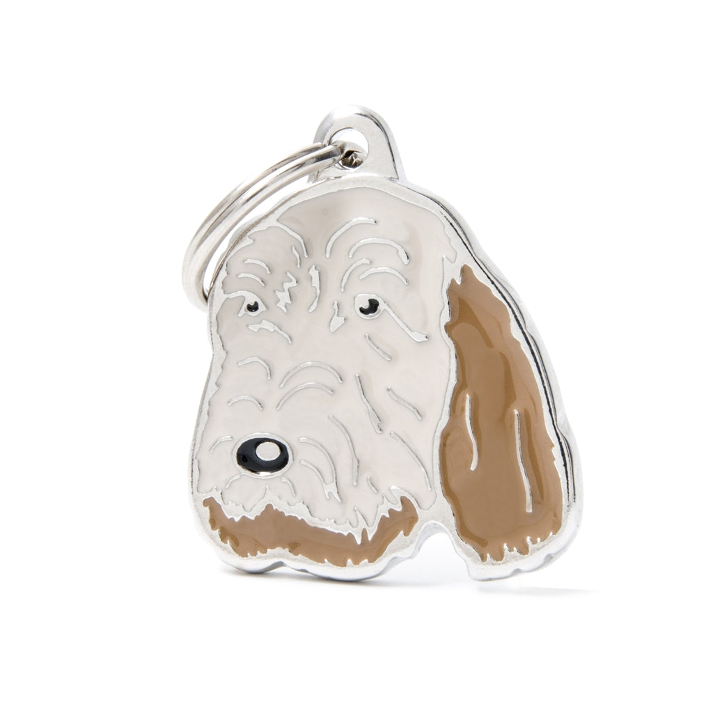 spinone italiano Imagen principal del producto