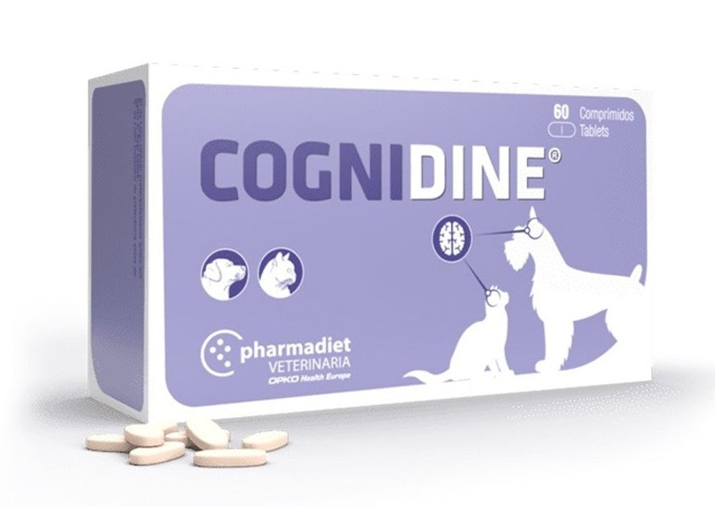Cognidine (60 comprimidos) Imagen principal del producto