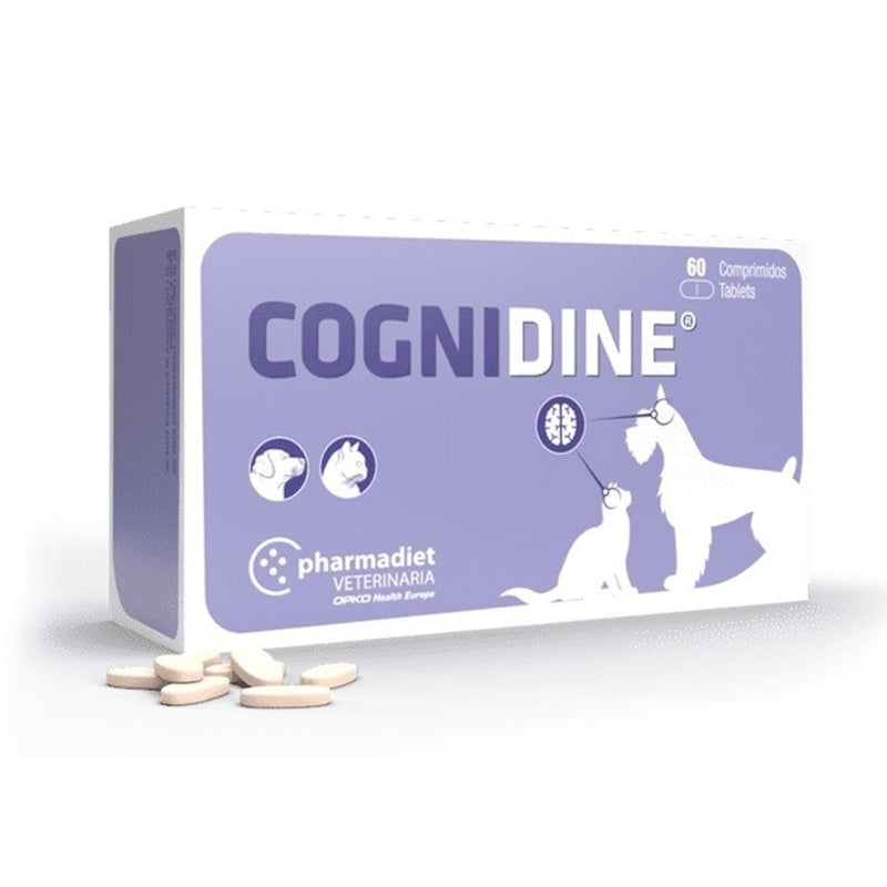 Cognidine (60 comprimidos) Imagen principal del producto
