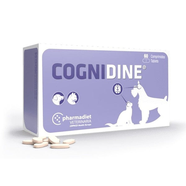 Cognidine (60 comprimidos)