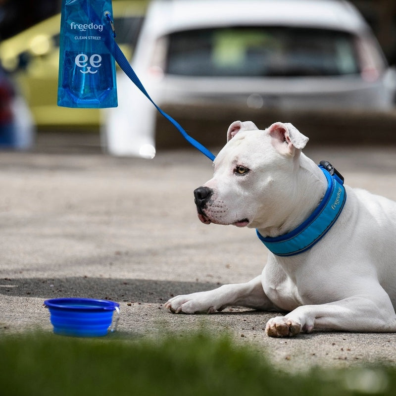 collar cool pro tech azul