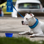 collar cool pro tech azul