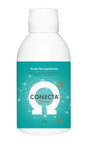Conecta