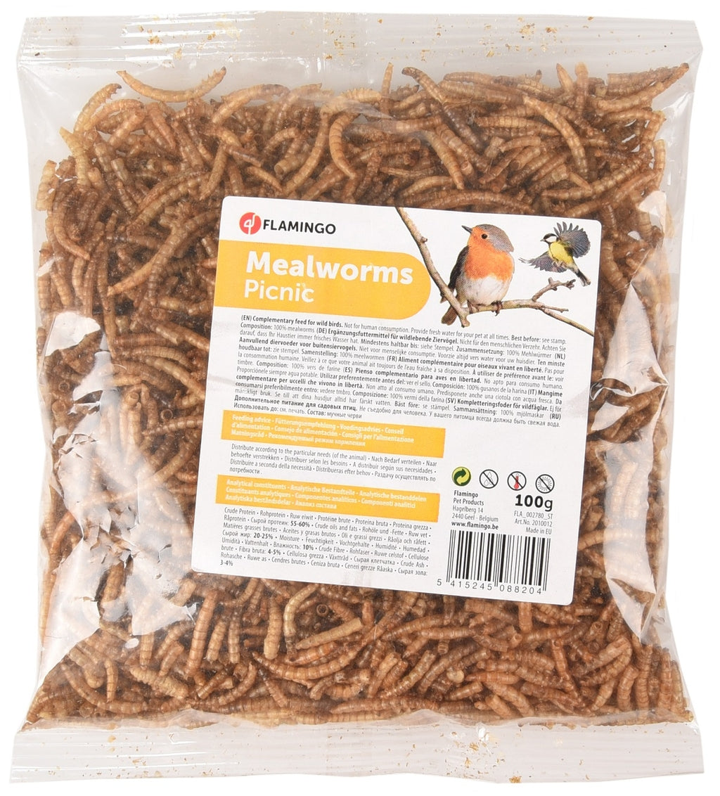 gusano de la farina sec 100 g
