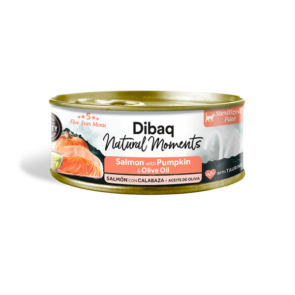Natural Moments amb salmó i carbassa llauna per a gats
