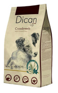 gos adult crossbreeds amb pollastre i gall dindi