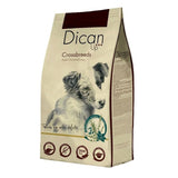 Dican Up Gos adult Crossbreeds amb pollastre i gall dindi