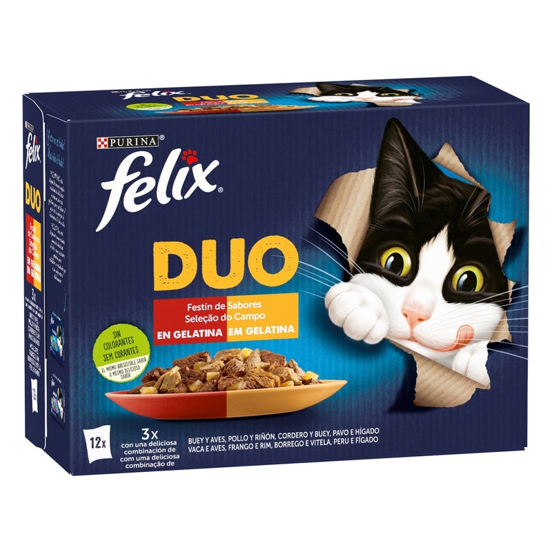Duo festín de sabors en gelatina 12x85 g