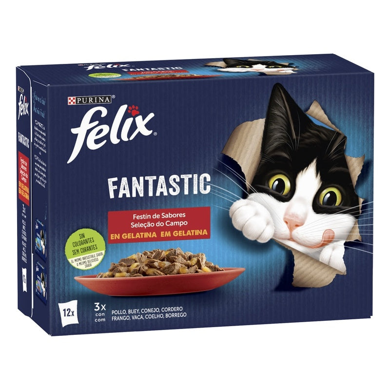Fantastic festín de sabors en gelatina 12x85 g