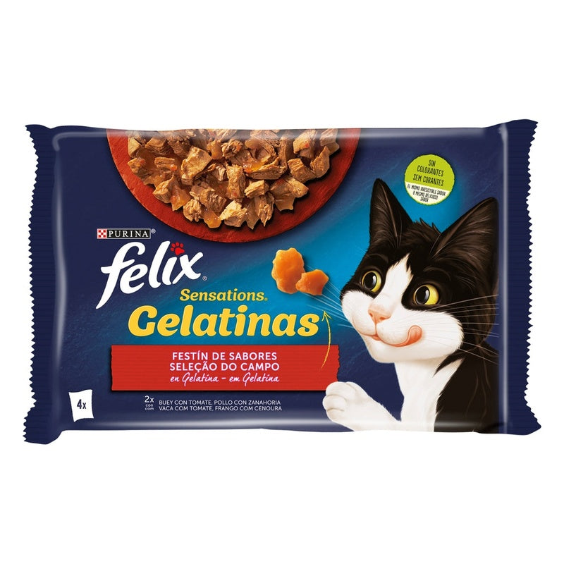 Sensations festín de sabores en gelatina