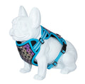 Boreal blau capri