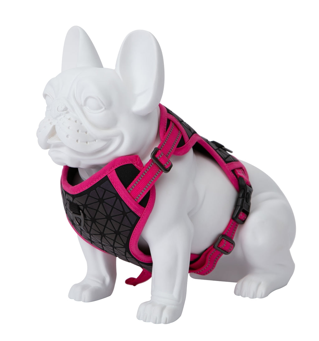 Freedog Boreal Fucsia Imagen secundaria del producto