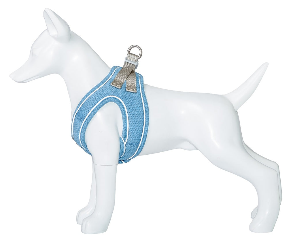 Shiva blau cielo