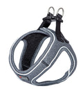 Shiva gris