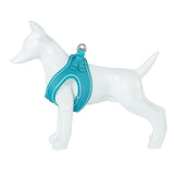 Freedog Soft Blau Turquesa