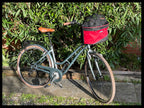 transportin bike bag 38x28x36cm