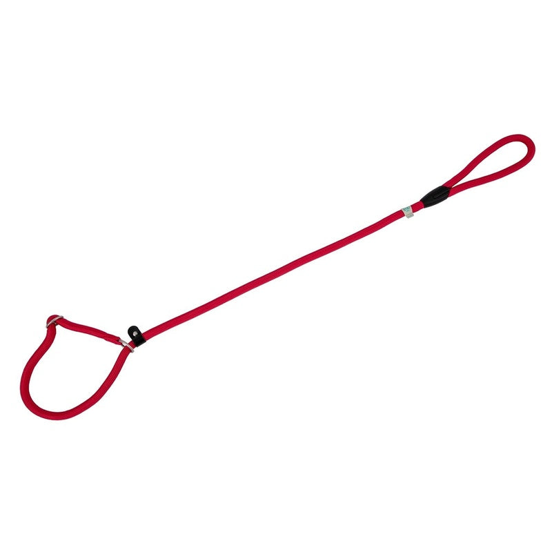 con collar rojo Imagen principal del producto