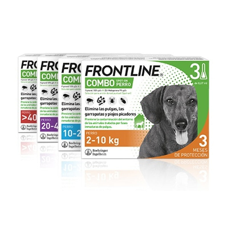 Frontline combo perro