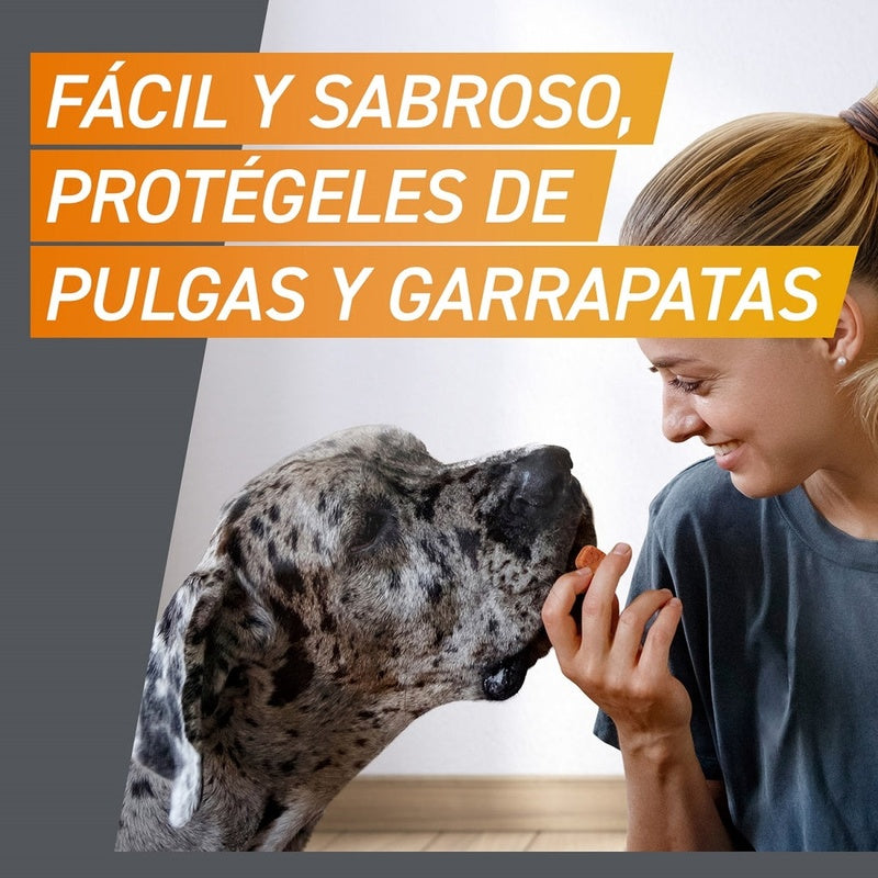 Frontpro 3 comprimidos masticables