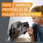 Frontpro 3 comprimidos masticables