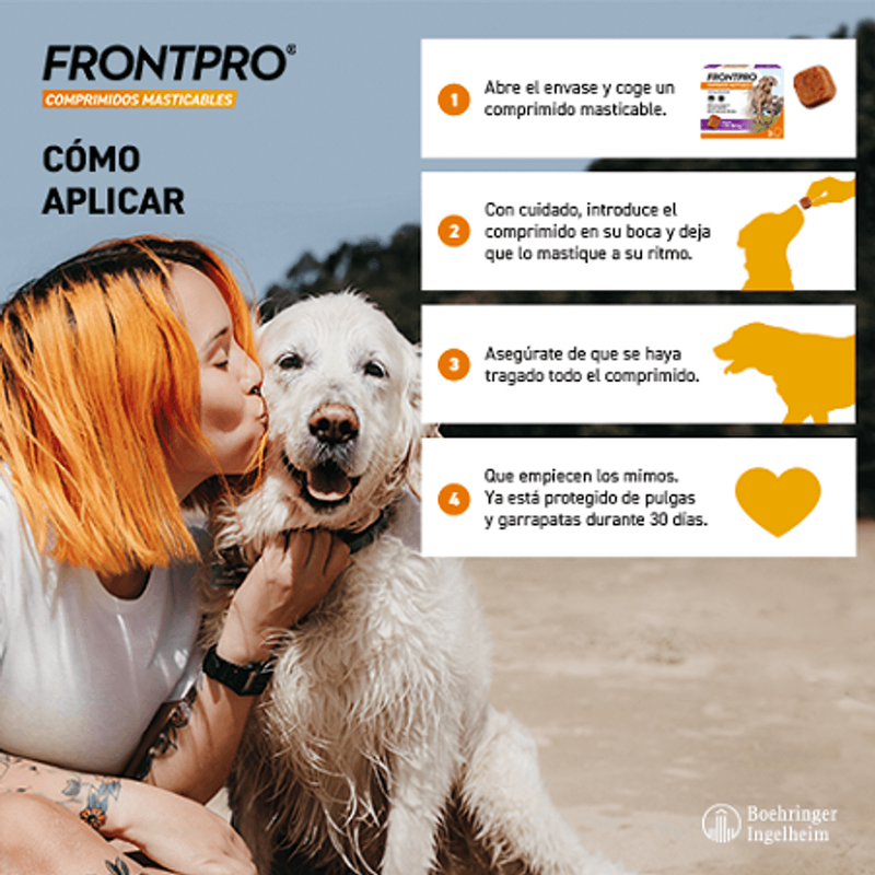 Frontpro 3 comprimidos masticables
