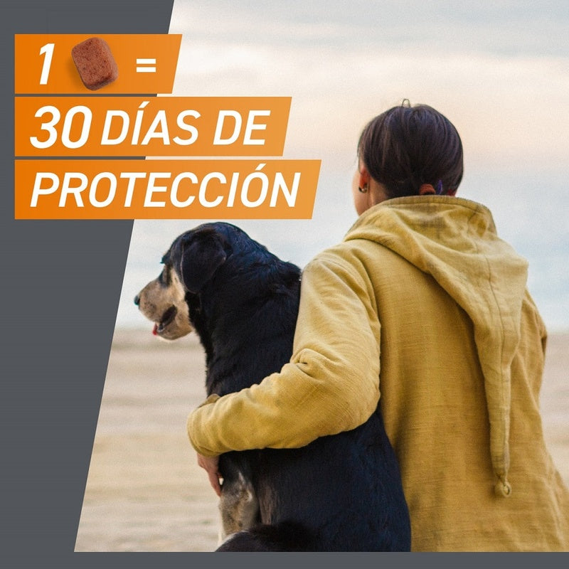 Frontpro 3 comprimidos masticables